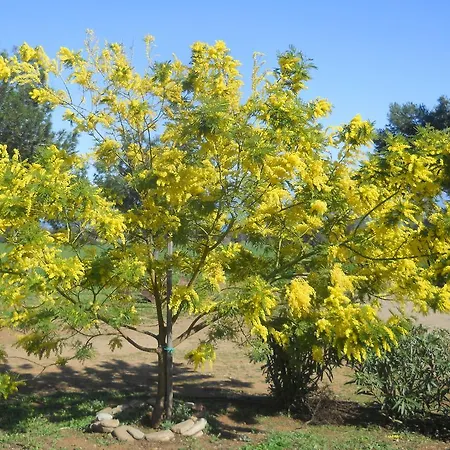 Masseria Cielogreco Bauernhof Amendolara