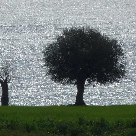Masseria Cielogreco