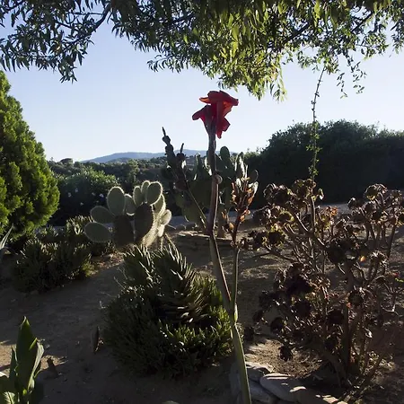 Bauernhof Masseria Cielogreco *