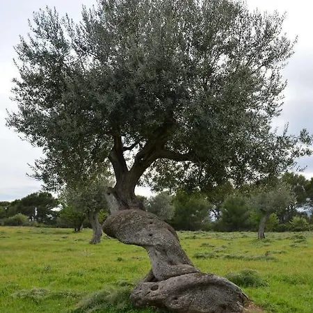 Séjour à la ferme Masseria Cielogreco Amendolara