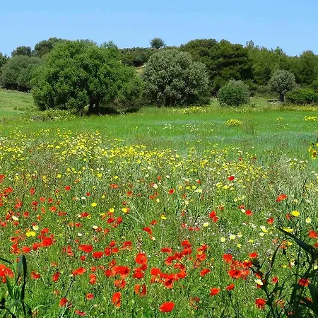 Masseria Cielogreco * Amendolara